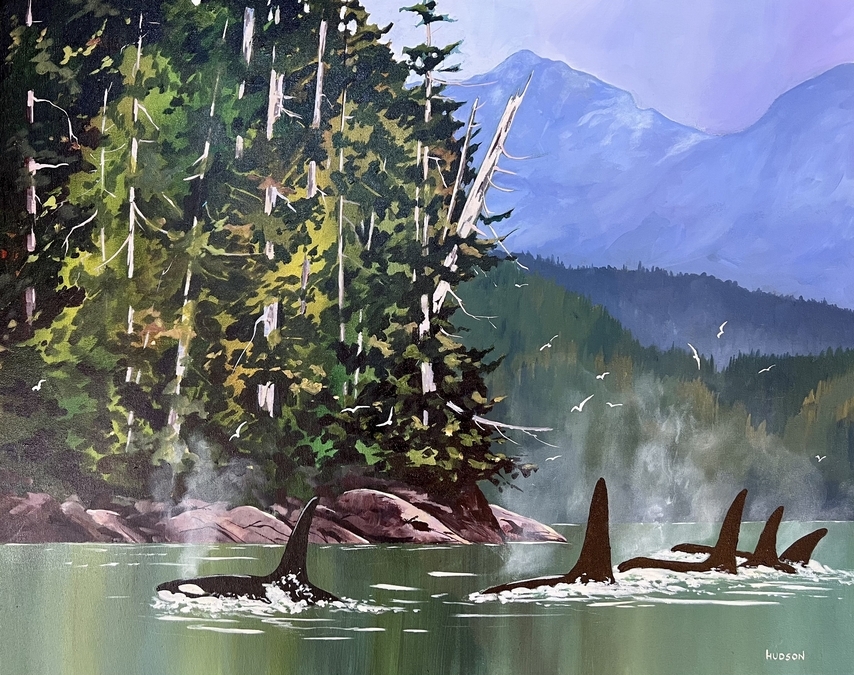 Salish Orcas