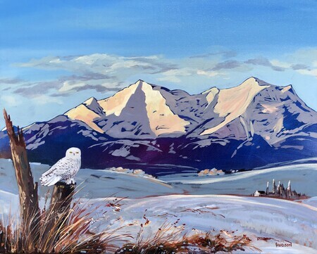 Snowy Owl and the Alberta Foothills